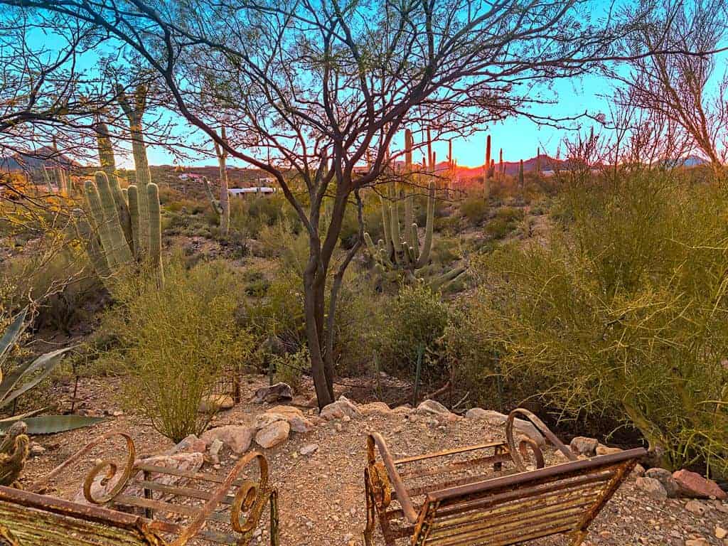 overlooking Sonoran Desert from Tucson vacation rental